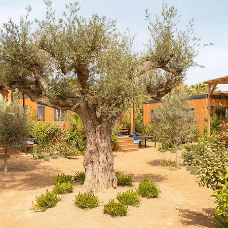 Parco vacanze Toison D'or 5*